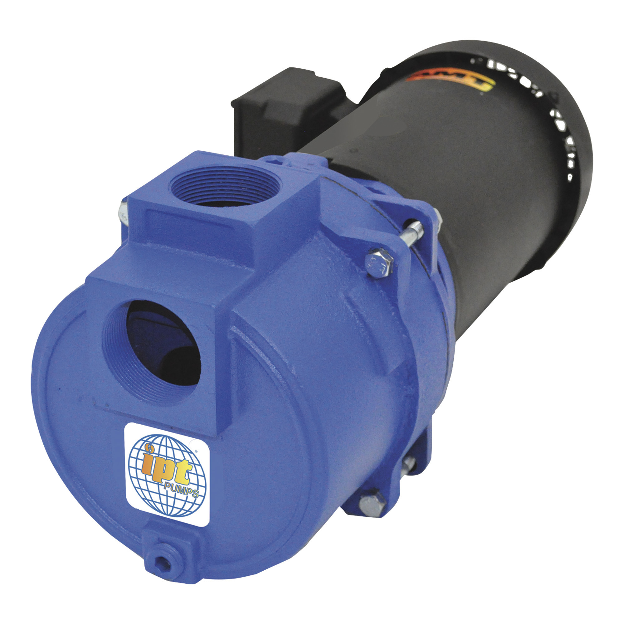 IPT Cast Iron Self-Priming Centrifugal Sewage/Trash Water Pump, 2in. Ports, Model# 316AIPT95